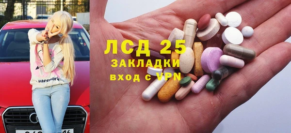 мяу мяу мука Аркадак