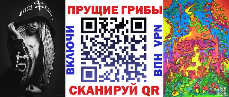Галлюциногенные грибы мицелий  как найти наркотики  Чаплыгин 
