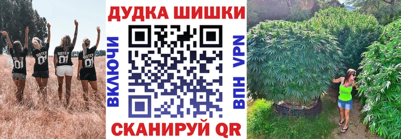 Шишки марихуана сатива  кракен ссылки  Чаплыгин 